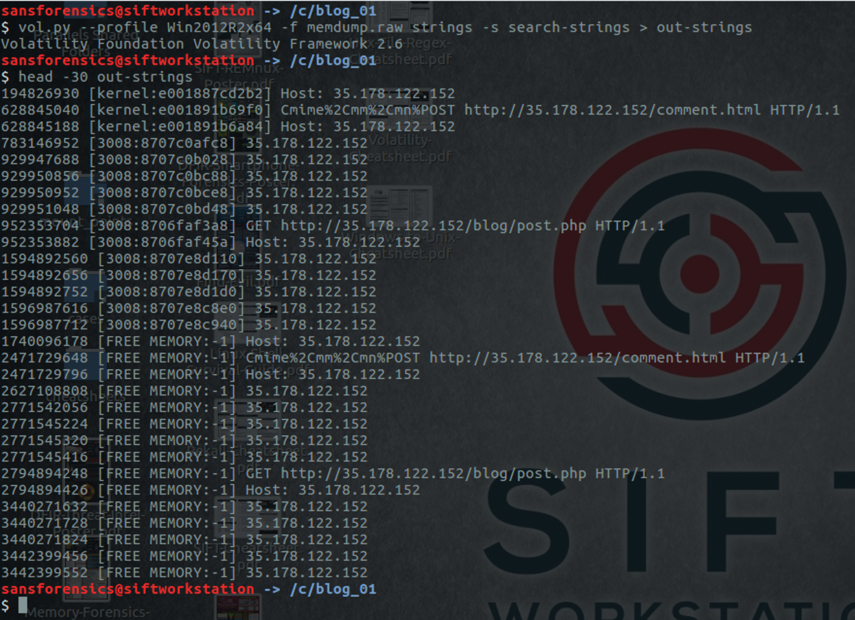Volatility strings plugin output